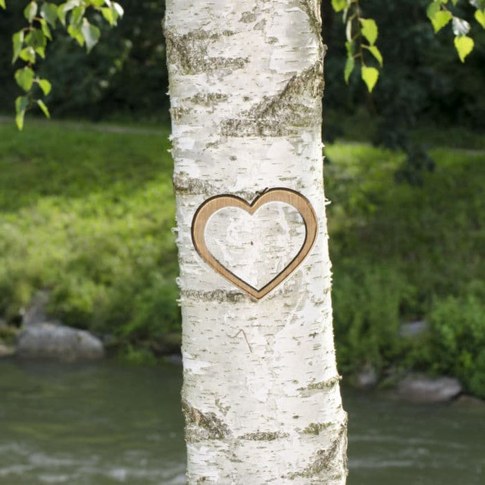 River Birch | Shade Trees