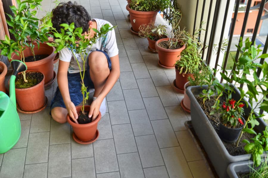 patio garden